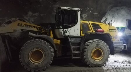Liebherr L556